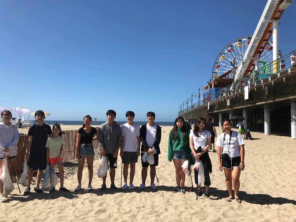 Beach Cleaning