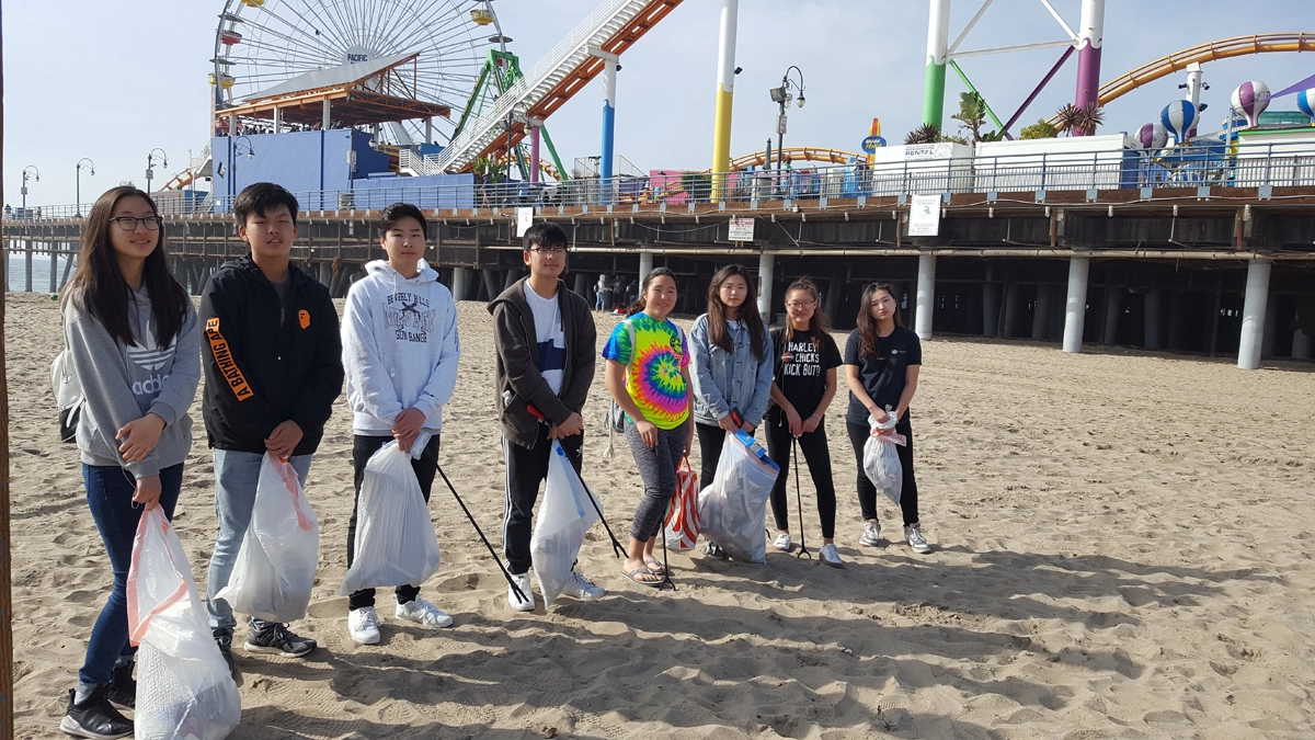 Beach Cleaning
