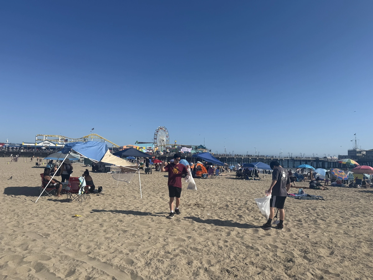 Beach Cleaning