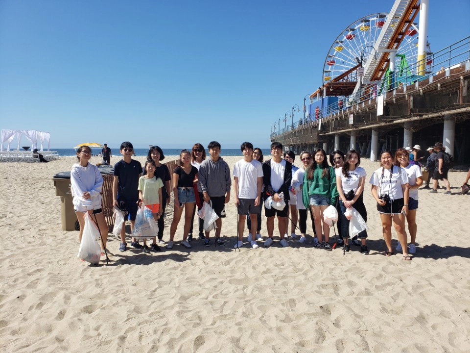 Beach Cleaning